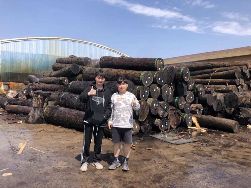 Dongguan Lingfeng Wood Industry Co., Ltd. 제조업체의 생산 라인