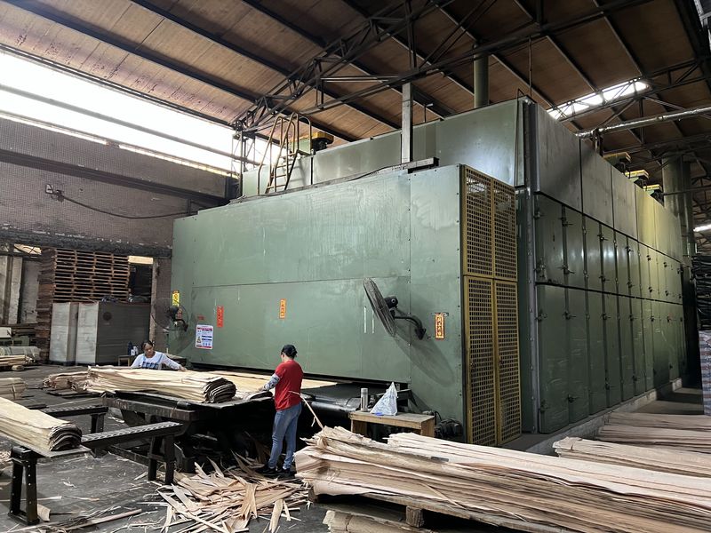 Dongguan Lingfeng Wood Industry Co., Ltd. 제조업체의 생산 라인