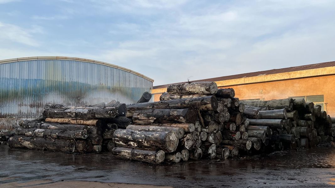 Dongguan Lingfeng Wood Industry Co., Ltd. 제조업체의 생산 라인