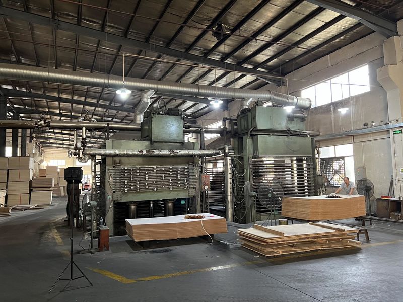 Dongguan Lingfeng Wood Industry Co., Ltd. 제조업체의 생산 라인