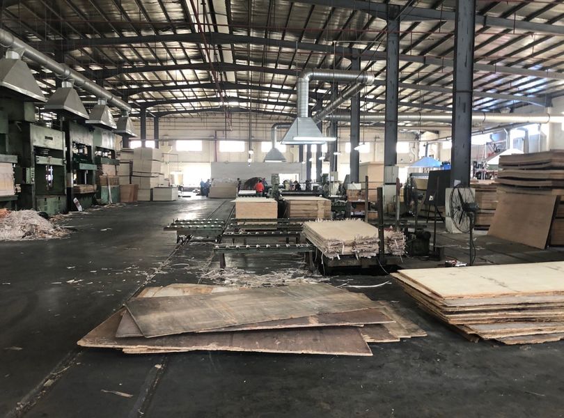 Dongguan Lingfeng Wood Industry Co., Ltd. 제조업체의 생산 라인