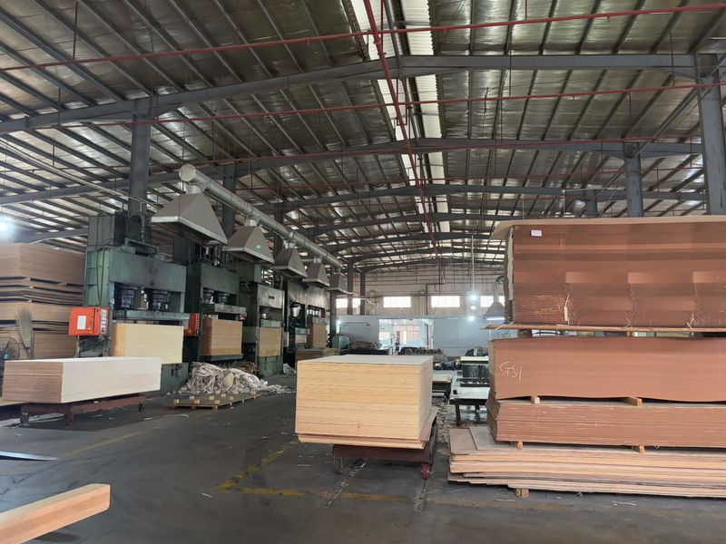 Dongguan Lingfeng Wood Industry Co., Ltd. 제조업체의 생산 라인