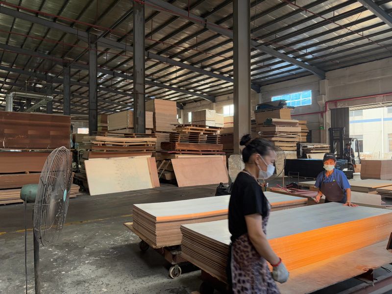 Dongguan Lingfeng Wood Industry Co., Ltd. 제조업체의 생산 라인
