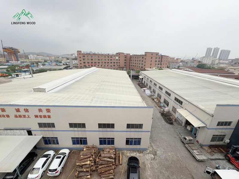 Dongguan Lingfeng Wood Industry Co., Ltd. 제조업체의 생산 라인