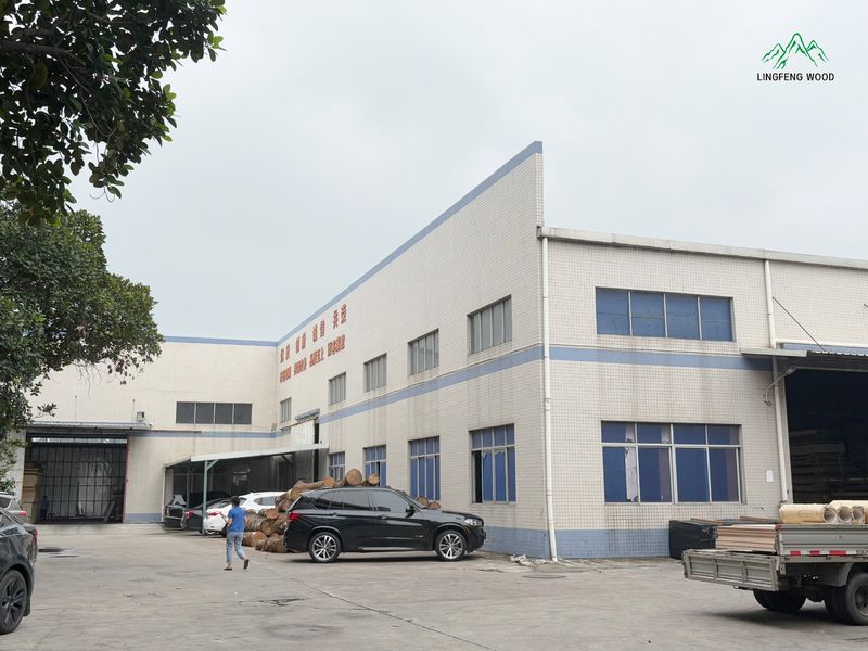 Dongguan Lingfeng Wood Industry Co., Ltd. 제조업체의 생산 라인
