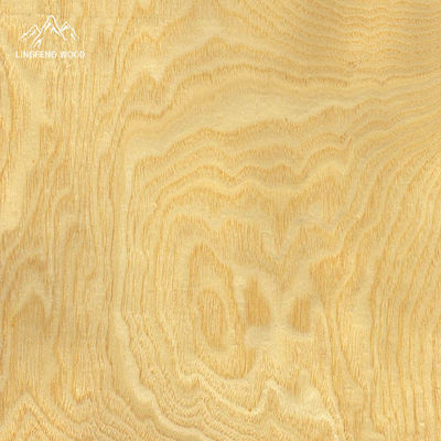 회전 절단 프로세스 B/AB/A/AA 등급에 Ash Veneer 0.45mm