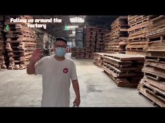 천연 나무 베니어판