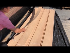 미국 화이트 오크 포니어