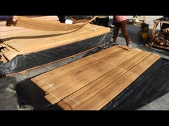 티크 플레너 크라운 컷